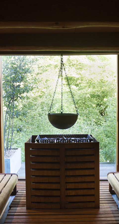 SAUNA SYMETRICAL Lime Wood --« Amy Murrell 2016-81 copy.jpg