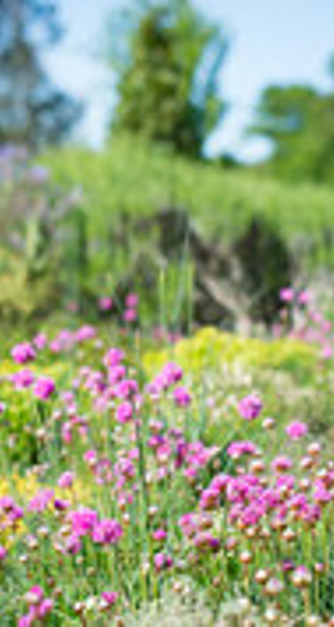 rsz_matt_roberts_limewood_may_2019_©_amy_murrell-200 (1).jpg