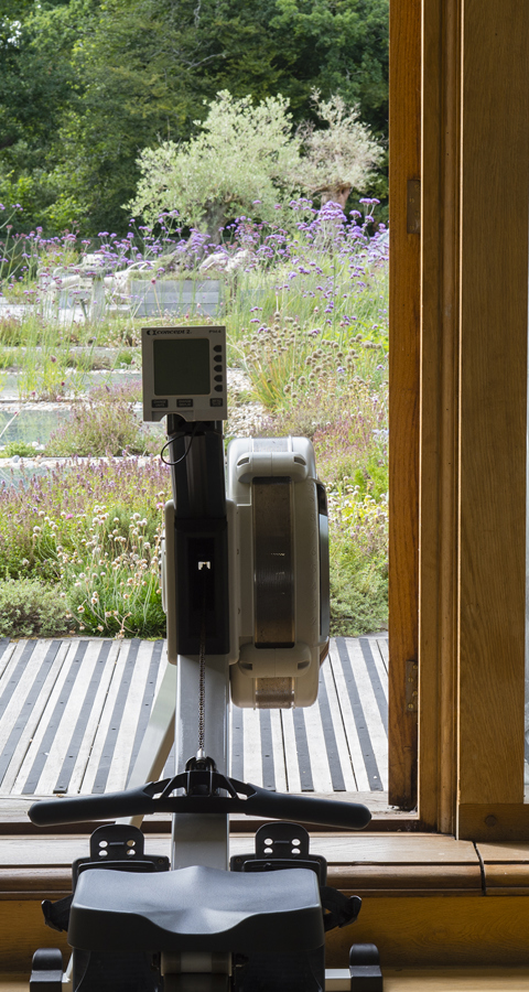 GYM ROOF GARDEN VIEW Lime Wood « Amy Murrell 2016 2 Copy