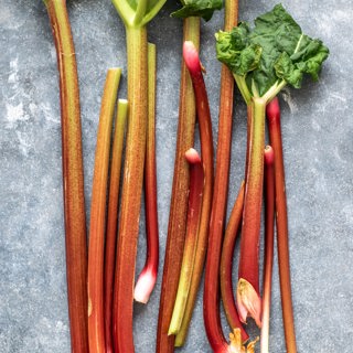 Rhubarb 3