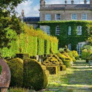 Highgrove Portrait