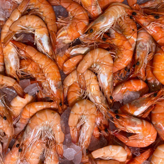 Prawns Horizontal