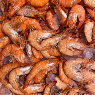 Prawns