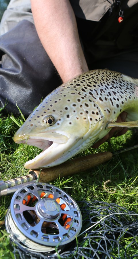 Fishing2