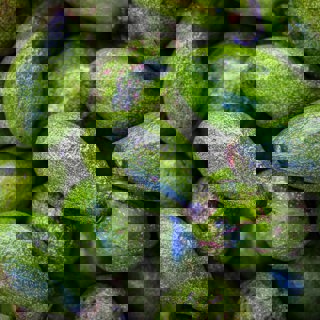 Hitoshi Namura Epsikxisjnu Unsplash