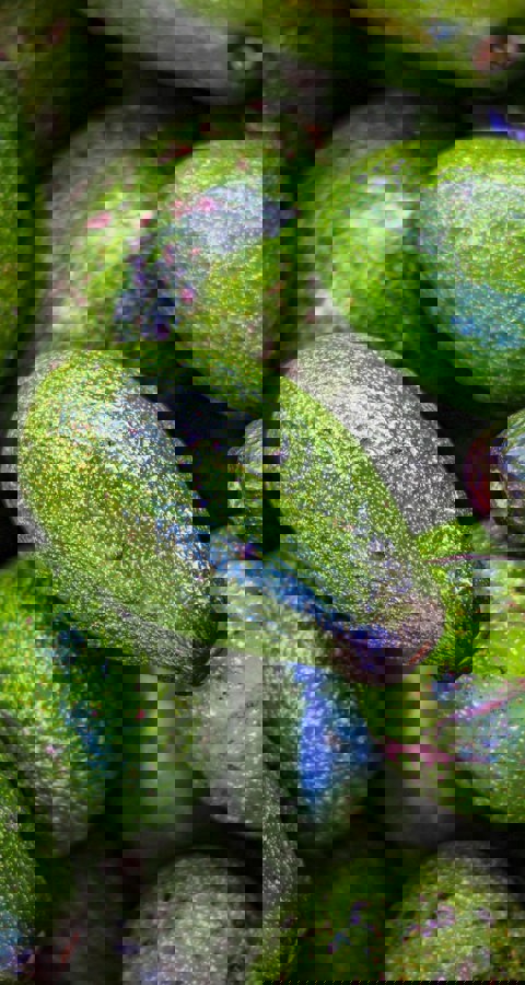 Hitoshi Namura Epsikxisjnu Unsplash