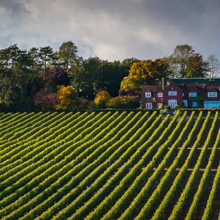 Hambledon Vineyard And House