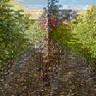 553479 150680558417990 1444266243 N