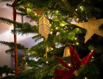 Xmas