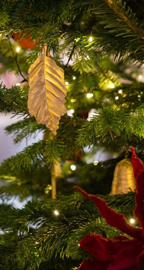 Xmas