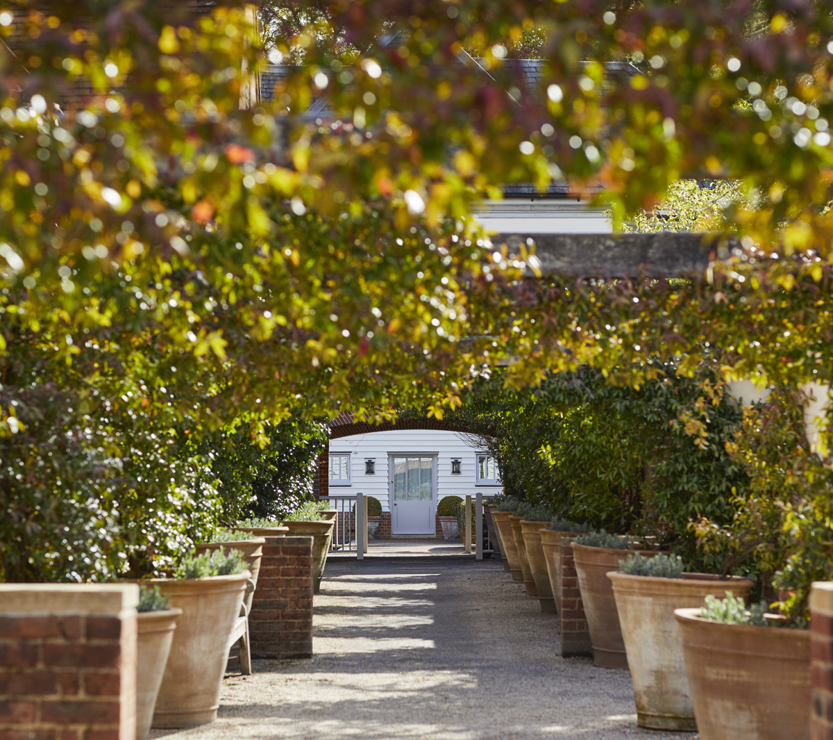 Lime Wood Grounds Credit Jake Eastham