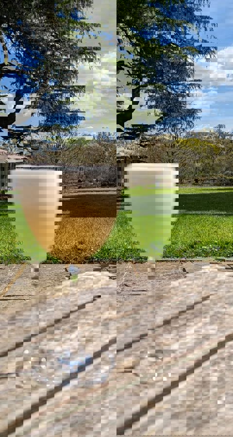 IMG 20230425 WA0007 (002)