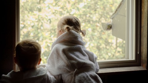 Lime Wood — interior and exterior view 12