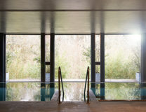 Limewood 0014