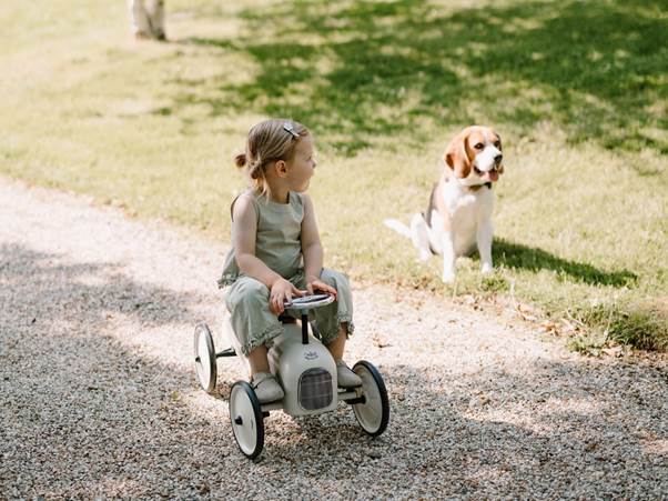 A child riding a toy bike with a dog in the background

AI-generated content may be incorrect.