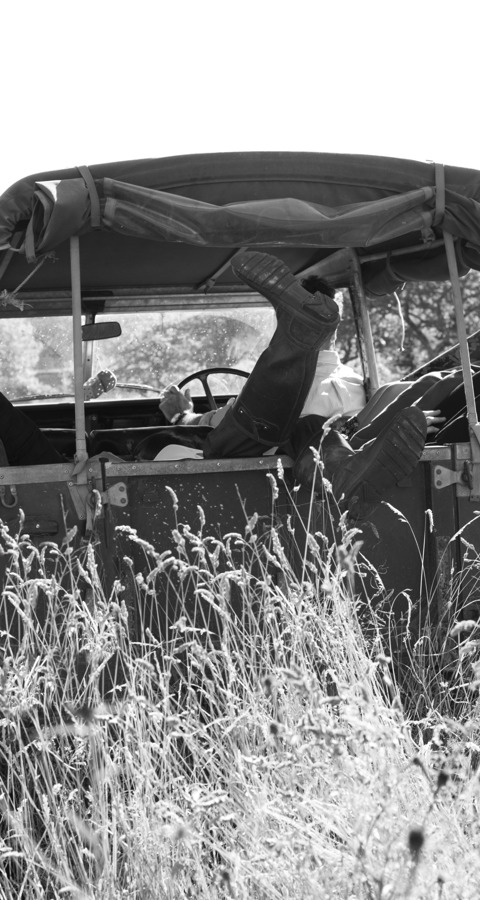 Jeep
