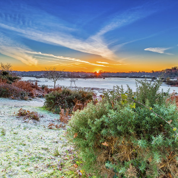 frosty-landscape-in-winter-sunrise-photo-credit-nick-luca-photography