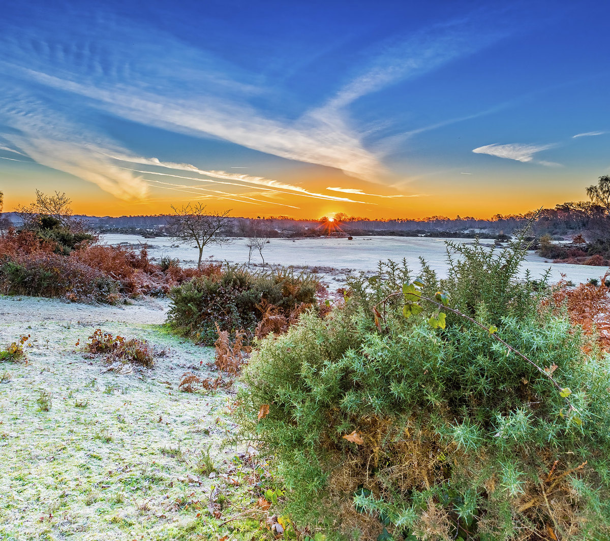 Frosty Landscape In Winter Sunrise Photo Credit Nick Luca Photography