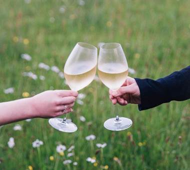 A pair of hands clinking wine glasses in a field

AI-generated content may be incorrect.