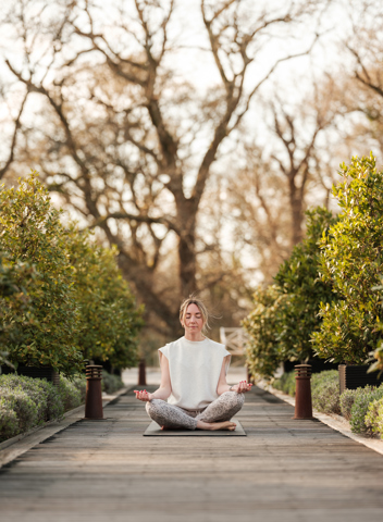 Dave Watts Spa Roof Garden Yoga April 192
