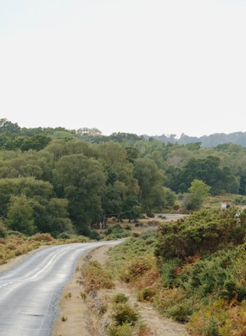 Emma Lavelle Forest Nature 70