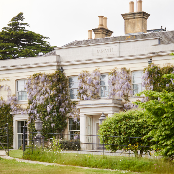 limewood_0310