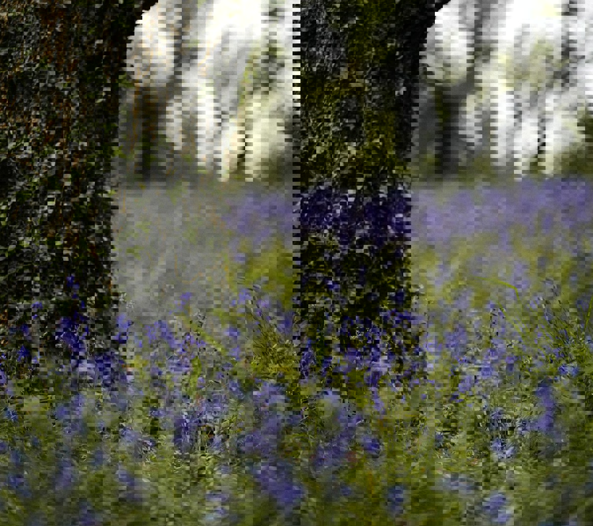 Annie Spratt U19j7lqt7wq Unsplash