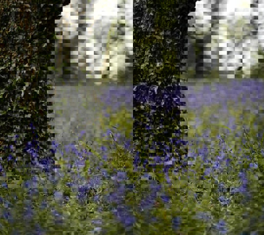 Annie Spratt U19j7lqt7wq Unsplash