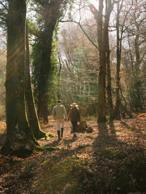 Lime Wood — interior and exterior view 9